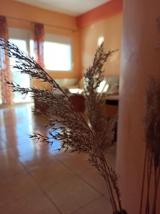Holiday home Eftychia's Home-σπίτι με θέα τη λίμνη πλαστήρα Agios Athanasios (Karditsa)