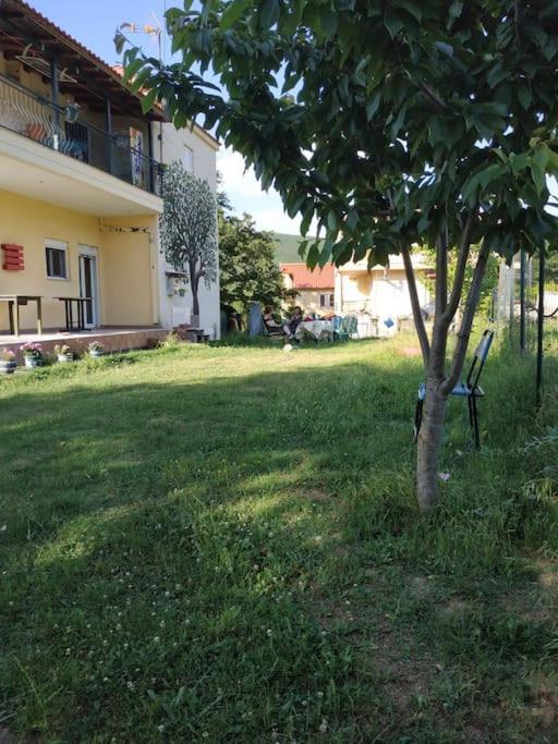 Holiday home Eftychia's Home-σπίτι με θέα τη λίμνη πλαστήρα *